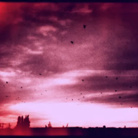 Cover artwork for teenage angst