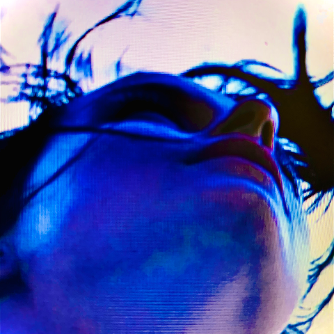 Cover artwork for Morvern Exposure